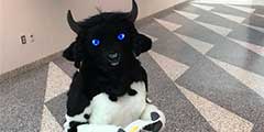 ��ħ�ޡ�Ůţͷ��COS һ������ţװ�������ֿɰ�����