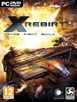 X ⰲװɫ