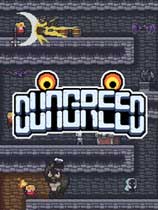Dungreed �ⰲװ��ɫ���İ�