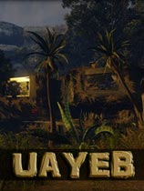 UAYEB �ⰲװ��ɫ��