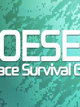 OESE �ⰲװ��ɫ��