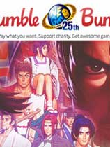 Neo Geo 25���������Ϸ�ϼ� �ⰲװ��ɫ��