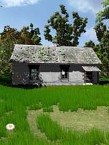 3D infocomϷ ⰲװɫ