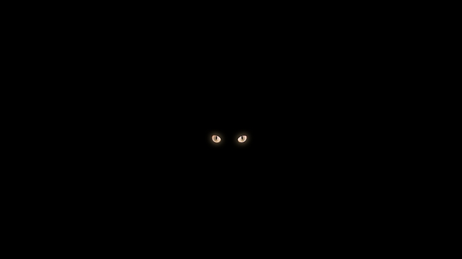 ʵ֪Ϸͼ
