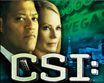 CSIֳͼ   Ӳ̰