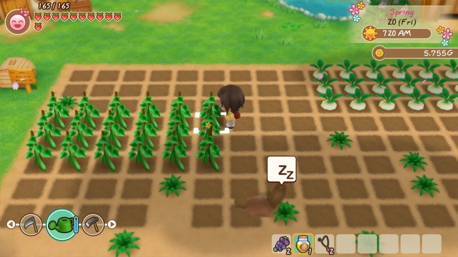 ٻʯϷͼ2