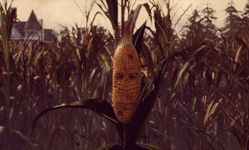  Maize ͼ 4