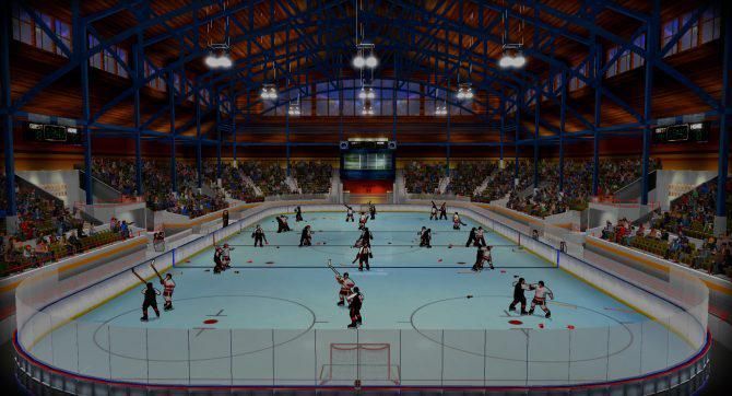 Bush Hockey League ͼ 5