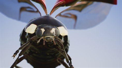 Insects: An Xbox One X Enhanced Experience ͼ 3