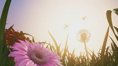 Insects: An Xbox One X Enhanced Experience ͼ 1