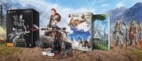 Horizon Zero Dawn Collector