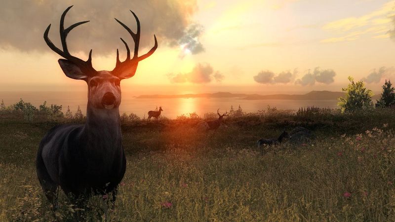 theHunter ͼ 2