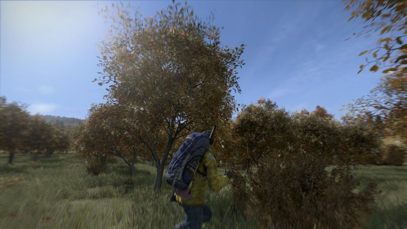 DayZ ʬĩ ͼ 3